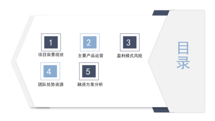 電子商務(wù)企業(yè)投資營(yíng)銷(xiāo)方案PPT模板